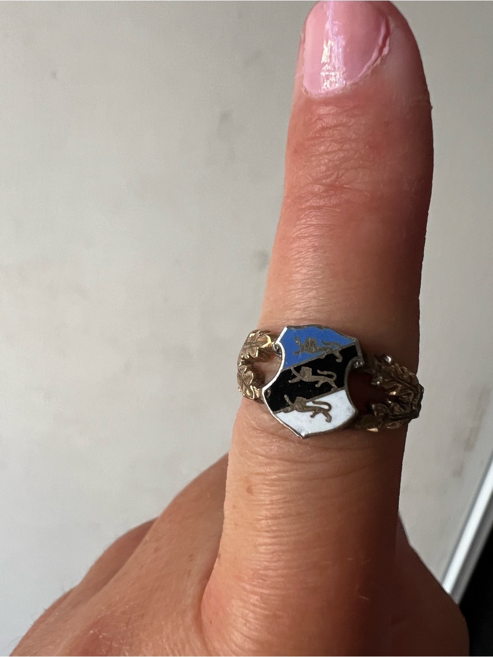 Elegant 10K Gold Estonian Flag Ring